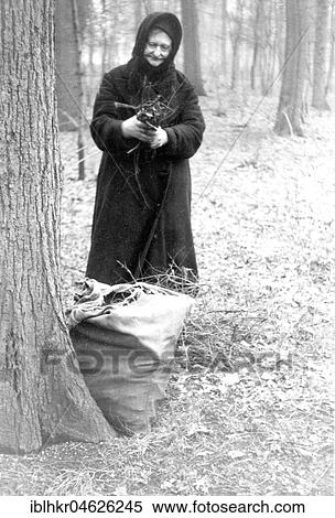 Stock Photography - Woman collecting firewood In the forest, place unknown, ca. 1945. Fotosearch