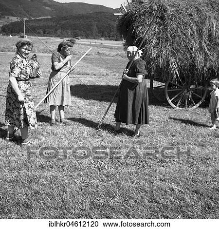 Stock Image - Woman giving water to field workers, ca. 1945 to 1955, near Freiburg, Germany, Europe. Fotosearch
