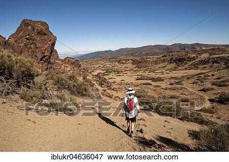 Woman on a hiking trail through volcanic landscape, Teide National Park, Tenerife, Spain, Europe View Large Photo Image Stock Photo - Woman on a hiking trail through volcanic landscape, Teide National Park, Tenerife, Spain, Europe. Fotosearch