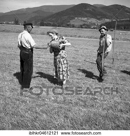 Stock Image - Woman pouring water into a field worker, ca. 1945 to 1955, near Freiburg, Germany, Europe. Fotosearch