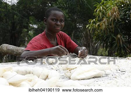 Stock Photo - Woman spreading cassava out to dry, Matamba-Solo, Bandundu Province, Congo-Brazzaville, Africa. Fotosearch