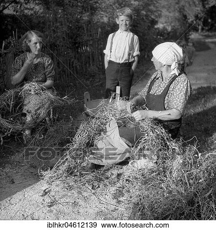 Stock Photo - Women farmers, approx. 1945 to 1955, surrounding area of Freiburg, Germany, Europe. Fotosearch