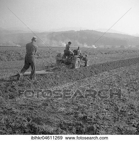Workers plough the field with a tractor, agriculture, ca. 1950, near Freiburg, Germany, Europe View Large Photo Image Stock Photo - Workers plough the field with a tractor, agriculture, ca. 1950, near Freiburg, Germany, Europe. Fotosearch