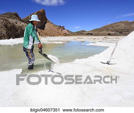 Stock Image - Young man, worker shovels salt, Salar de Uyuni, Uyuni, Potosi, Bolivia, South America. Fotosearch