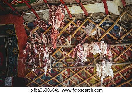 Yurt of eagle hunter Bashakhan Spai, here is where the meat is kept, on which the family will live for the next weeks, Kisil Tschar, Olgii, Mongolia, Asia View Large Photo Image Stock Photography - Yurt of eagle hunter Bashakhan Spai, here is where the meat is kept, on which the family will live for the next weeks, Kisil Tschar, Olgii, Mongolia, Asia. Fotosearch