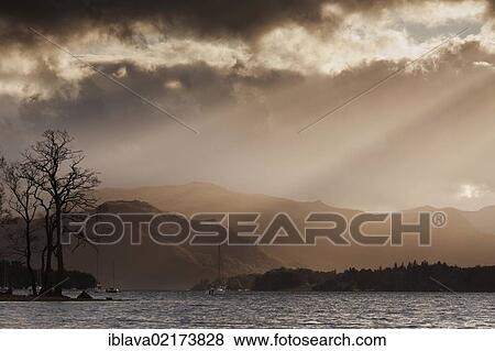Stock Photo - A silhouetted tree against a sunlit Hallin Fell, with Ullswater in the foreground, Pooley Bridge, Cumbria, England, United Kingdom, Europe. Fotosearch