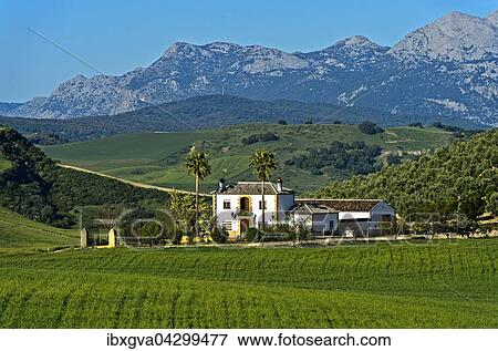 Andalusische Hugellandschaft mit Finca, bei Torre Alhaquime, Andalusien, Spanien, Europa View Large Photo Image Stock Photo - Andalusische Hugellandschaft mit Finca, bei Torre Alhaquime, Andalusien, Spanien, Europa. Fotosearch