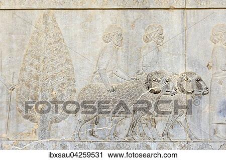 Antikes Relief der Achameniden, Delegation der Assyrer bringen zwei Widder, Apadana, Palast, archaologische Ausgrabungsstatte, altpersische Residenzstadt Persepolis, UNESCO Weltkulturerbe, Provinz Fars, Iran View Large Photo Image Stock Image - Antikes Relief der Achameniden, Delegation der Assyrer bringen zwei Widder, Apadana, Palast, archaologische Ausgrabungsstatte, altpersische Residenzstadt Persepolis, UNESCO Weltkulturerbe, Provinz Fars, Iran. Fotosearch