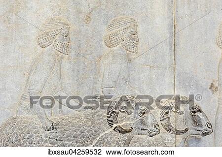 Antikes Relief der Achameniden, Delegation der Assyrer bringen zwei Widder, Apadana, Palast, archaologische Ausgrabungsstatte, altpersische Residenzstadt Persepolis, UNESCO Weltkulturerbe, Provinz Fars, Iran View Large Photo Image Stock Image - Antikes Relief der Achameniden, Delegation der Assyrer bringen zwei Widder, Apadana, Palast, archaologische Ausgrabungsstatte, altpersische Residenzstadt Persepolis, UNESCO Weltkulturerbe, Provinz Fars, Iran. Fotosearch