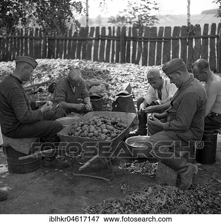 Attack on the Soviet Union, Operation Barbarossa, original caption: 1941, When peeling potatoes, Parlow Nowy View Large Photo Image Stock Photo - Attack on the Soviet Union, Operation Barbarossa, original caption: 1941, When peeling potatoes, Parlow Nowy. Fotosearch