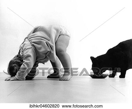 Baby watching cat through the legs, England, Great Britain View Large Photo Image Stock Image - Baby watching cat through the legs, England, Great Britain. Fotosearch