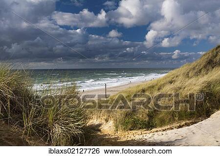 Beach access at Rotes Kliff, red cliff, at Kampen on Sylt island, North Friesland district, Schleswig-Holstein, Germany, Europe View Large Photo Image Stock Photograph - Beach access at Rotes Kliff, red cliff, at Kampen on Sylt island, North Friesland district, Schleswig-Holstein, Germany, Europe. Fotosearch