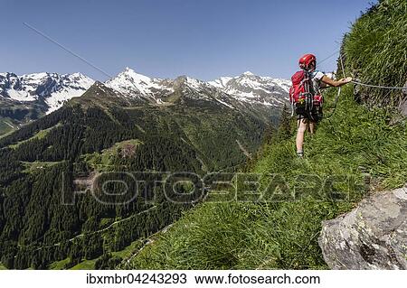 Stock Image - Bergsteiger, Aufstieg auf den Lampskopf, Klettersteig in Pflersch am Fusse des Tribulaun, hinten Wetterspitz, Maratschspitz und Ellesspitz, Goglberg, Pflerscher Tal, Brenner, Wipptal, Eisacktal, Sudtirol, Alpen, Italien, Europa. Fotosearch