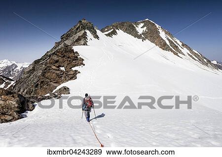 Bergsteiger beim Abstieg von der Wildspitze am Mitterkarjoch, hinten der Hintere Brochkogel, Vent, Solden, Otztal, Tirol, Alpen, Osterreich, Europa View Large Photo Image Stock Photo - Bergsteiger beim Abstieg von der Wildspitze am Mitterkarjoch, hinten der Hintere Brochkogel, Vent, Solden, Otztal, Tirol, Alpen, Osterreich, Europa. Fotosearch