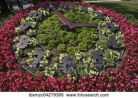 Blumenuhr, Demianiplatz, Gorlitz, Oberlausitz, Sachsen, Deutschland, Europa View Large Photo Image Stock Photography - Blumenuhr, Demianiplatz, Gorlitz, Oberlausitz, Sachsen, Deutschland, Europa. Fotosearch