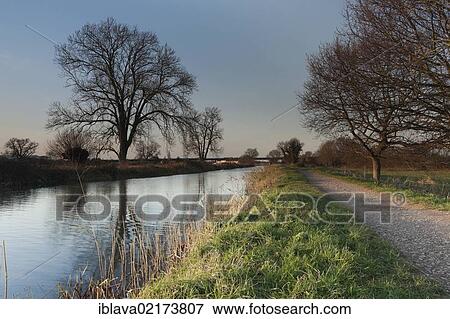 Stock Photo - Bridgwater and Taunton Canal in evening light, with the canal and path converging in the distance and a tree reflection in the water, Bridgwater, Somerset, England, United Kingdom, Europe. Fotosearch