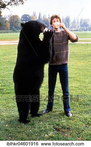 Stock Photograph - Brown bear and man drink standing, England, Great Britain. Fotosearch