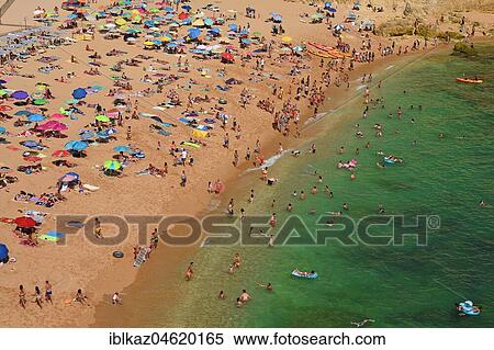Busy beach, Praia de Carvoeiro, Carvoeiro, Algarve, Portugal, Europe View Large Photo Image Stock Photography - Busy beach, Praia de Carvoeiro, Carvoeiro, Algarve, Portugal, Europe. Fotosearch