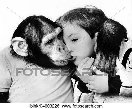 Stock Photograph - Chimpanzee kisses and hugs little boy, England, Great Britain. Fotosearch