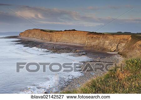 Stock Photo - Clifftop in evening light, on the north Somerset coast, between Kilve and Lilstock, Somerset, England, United Kingdom, Europe. Fotosearch