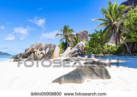 Coconut palms (Cocos nucifera) and rocks on the beach Source d'Argent, La Digue Island, Seychelles, Africa View Large Photo Image Stock Image - Coconut palms (Cocos nucifera) and rocks on the beach Source d'Argent, La Digue Island, Seychelles, Africa. Fotosearch