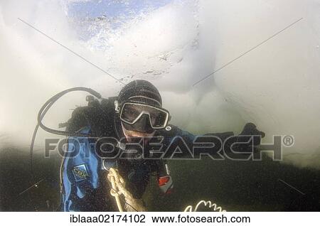 Diver, subglacial diving, ice diving, in the frozen Black Sea, a rare phenomenon, last time it occured in 1977, Odessa, Ukraine, Eastern Europe, Europe View Large Photo Image Stock Image - Diver, subglacial diving, ice diving, in the frozen Black Sea, a rare phenomenon, last time it occured in 1977, Odessa, Ukraine, Eastern Europe, Europe. Fotosearch