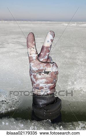 Diver's hand giving the 20 bar sign, subglacial diving, ice diving, in the frozen Black Sea, a rare phenomenon, last time it occured in 1977, Odessa, Ukraine, Eastern Europe, Europe View Large Photo Image Stock Photography - Diver's hand giving the 20 bar sign, subglacial diving, ice diving, in the frozen Black Sea, a rare phenomenon, last time it occured in 1977, Odessa, Ukraine, Eastern Europe, Europe. Fotosearch