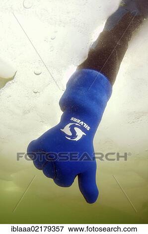 Stock Photo - Diver's hand giving the Downwards sign, subglacial diving, ice diving, in the frozen Black Sea, a rare phenomenon, last time it occured in 1977, Odessa, Ukraine, Eastern Europe, Europe. Fotosearch