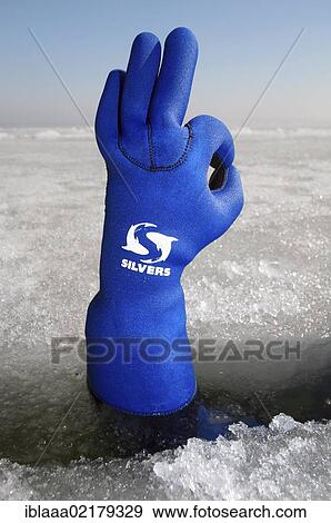 Diver's hand giving the OK sign, subglacial diving, ice diving, in the frozen Black Sea, a rare phenomenon, last time it occured in 1977, Odessa, Ukraine, Eastern Europe, Europe View Large Photo Image Stock Photo - Diver's hand giving the OK sign, subglacial diving, ice diving, in the frozen Black Sea, a rare phenomenon, last time it occured in 1977, Odessa, Ukraine, Eastern Europe, Europe. Fotosearch