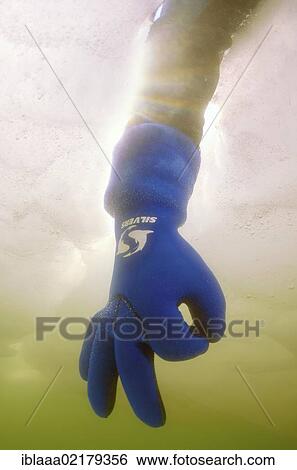 Diver's hand giving the OK sign, subglacial diving, ice diving, in the frozen Black Sea, a rare phenomenon, last time it occured in 1977, Odessa, Ukraine, Eastern Europe, Europe View Large Photo Image Stock Photograph - Diver's hand giving the OK sign, subglacial diving, ice diving, in the frozen Black Sea, a rare phenomenon, last time it occured in 1977, Odessa, Ukraine, Eastern Europe, Europe. Fotosearch