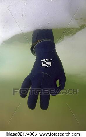 Diver's hand giving the OK sign, subglacial diving, ice diving, in the frozen Black Sea, a rare phenomenon, last time it occured in 1977, Odessa, Ukraine, Eastern Europe, Europe View Large Photo Image Stock Photography - Diver's hand giving the OK sign, subglacial diving, ice diving, in the frozen Black Sea, a rare phenomenon, last time it occured in 1977, Odessa, Ukraine, Eastern Europe, Europe. Fotosearch