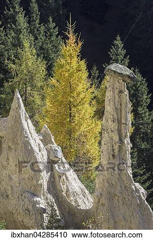 Erdpyramiden von Platten, Percha, Trentino-Alto Adige, Sudtirol, Italien, Europa View Large Photo Image Stock Image - Erdpyramiden von Platten, Percha, Trentino-Alto Adige, Sudtirol, Italien, Europa. Fotosearch