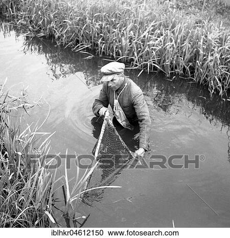 Stock Image - Fisherman with net in the river, ca. 1945 to 1955, near Freiburg, Germany, Europe. Fotosearch