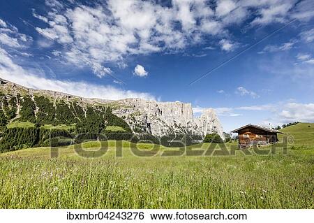 Fruhling auf der Seiser Alm im Naturpark Schlern-Rosengarten, Almhutte, hinten der Schlern, Dolomiten, Sudtirol, Trentino-Sudtirol, Alpen, Italien, Europa View Large Photo Image Stock Photograph - Fruhling auf der Seiser Alm im Naturpark Schlern-Rosengarten, Almhutte, hinten der Schlern, Dolomiten, Sudtirol, Trentino-Sudtirol, Alpen, Italien, Europa. Fotosearch