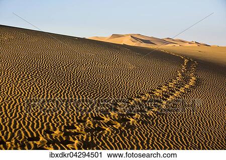 Stock Image - Fussspuren in den Sanddunen, Leeres Viertel, Empty Quarter, Sandwuste Rub al-Chali, auch Rub al-Khali, Vereinigte Arabische Emirate, Asien. Fotosearch