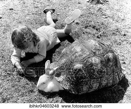 Girl and a bunny playing with a turtle shell, England, Great Britain View Large Photo Image Stock Photo - Girl and a bunny playing with a turtle shell, England, Great Britain. Fotosearch