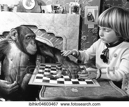 Stock Photo - Girl and chimpanzee playing the mill game, England, Great Britain. Fotosearch