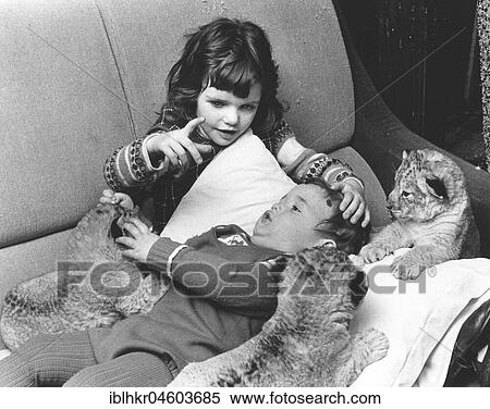 Stock Photography - Girls and boys play with baby lions, England, Great Britain. Fotosearch