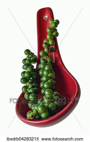Gruner Pfeffer, frisch, auf rotem Loffel View Large Photo Image Stock Photography - Gruner Pfeffer, frisch, auf rotem Loffel. Fotosearch