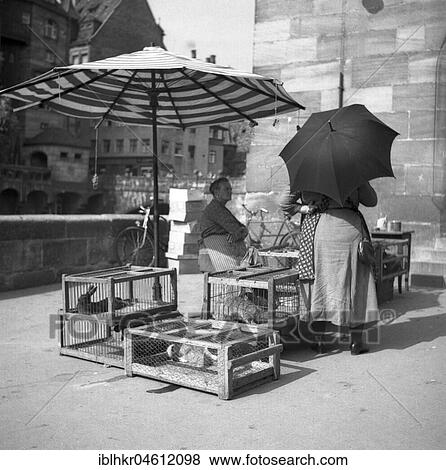 Hasen, Freiburger Münstermarkt, approx. 1945 to 1955, Freiburg, Germany, Europe View Large Photo Image Stock Photo - Hasen, Freiburger Münstermarkt, approx. 1945 to 1955, Freiburg, Germany, Europe. Fotosearch