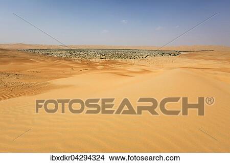 Kunstlich gepflanzter Wald in der Wuste bei Al Hamaim, Leeres Viertel, Empty Quarter, Sandwuste Rub al-Chali, auch Rub al-Khali, Vereinigte Arabische Emirate, Asien View Large Photo Image Picture - Kunstlich gepflanzter Wald in der Wuste bei Al Hamaim, Leeres Viertel, Empty Quarter, Sandwuste Rub al-Chali, auch Rub al-Khali, Vereinigte Arabische Emirate, Asien. Fotosearch