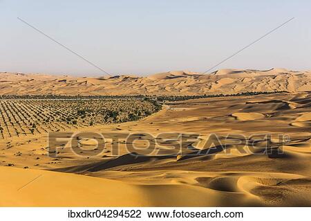 Stock Image - Kunstlich gepflanzter Wald in der Wuste bei Al Hamaim, Leeres Viertel, Empty Quarter, Sandwuste Rub al-Chali, auch Rub al-Khali, Vereinigte Arabische Emirate, Asien. Fotosearch