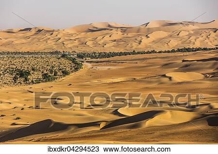 Stock Image - Kunstlich gepflanzter Wald in der Wuste bei Al Hamaim, Leeres Viertel, Empty Quarter, Sandwuste Rub al-Chali, auch Rub al-Khali, Vereinigte Arabische Emirate, Asien. Fotosearch
