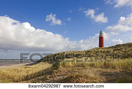 Leuchtturm Eierland mit Dunen, De Cocksdorp, Nordsee, Texel, Westfriesische Inseln, Provinz Nordholland, Holland, Niederlande, Europa View Large Photo Image Stock Photo - Leuchtturm Eierland mit Dunen, De Cocksdorp, Nordsee, Texel, Westfriesische Inseln, Provinz Nordholland, Holland, Niederlande, Europa. Fotosearch