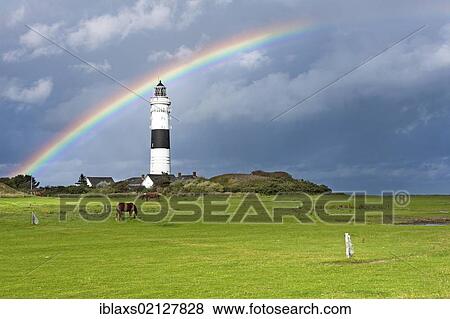 Stock Photo - Lighthouse in Kampen with a rainbow shortly after a thundershower, Kampen, Sylt, North Frisia, Schleswig-Holstein, Germany, Europe. Fotosearch