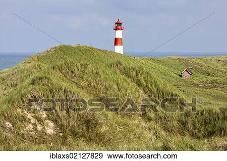 Lighthouse of List Ost on the Sylt peninsula of Ellenbogen, List, Sylt, North Frisia, Schleswig-Holstein, Germany, Europe View Large Photo Image Stock Photo - Lighthouse of List Ost on the Sylt peninsula of Ellenbogen, List, Sylt, North Frisia, Schleswig-Holstein, Germany, Europe. Fotosearch