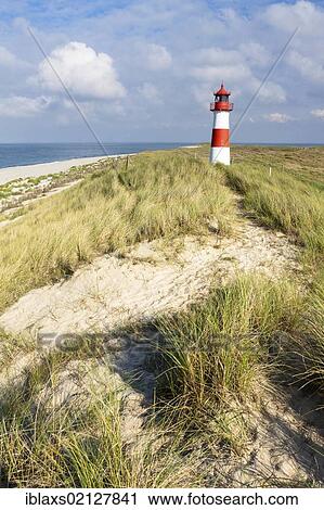 Stock Image - Lighthouse of List Ost with a frisian house on the Sylt peninsula of Ellenbogen, List, Sylt, North Frisia, Schleswig-Holstein, Germany, Europe. Fotosearch