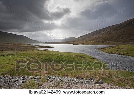 Looking east along Loch Cluanie, in the Scottish Highlands from the head where the River Cluanie enters, Scotland, United Kingdom, Europe View Large Photo Image Stock Photo - Looking east along Loch Cluanie, in the Scottish Highlands from the head where the River Cluanie enters, Scotland, United Kingdom, Europe. Fotosearch