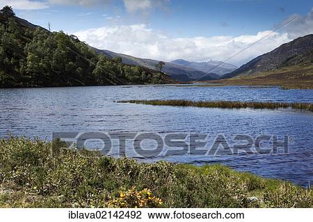 Looking west from the mouth of Loch Beannacharan, towards the upper reaches of Glen Strathfarrar in the Scottish Highlands, Scotland, United Kingdom, Europe View Large Photo Image Stock Image - Looking west from the mouth of Loch Beannacharan, towards the upper reaches of Glen Strathfarrar in the Scottish Highlands, Scotland, United Kingdom, Europe. Fotosearch