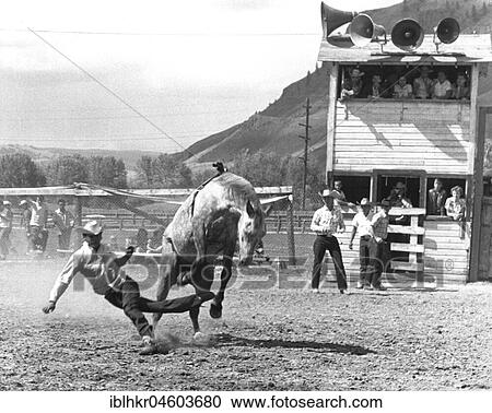 Man on horse during rodeo, England, Great Britain View Large Photo Image Stock Image - Man on horse during rodeo, England, Great Britain. Fotosearch